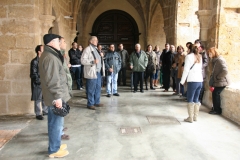 20120304_0027terrer