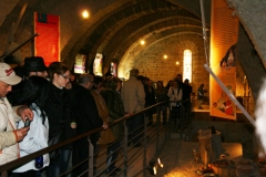 20120304_0042terrer