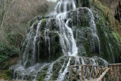 20120304_0065terrer