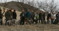 grupo