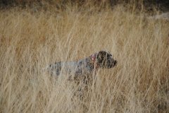 terrer_2013_16