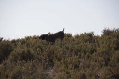 IMG_7913