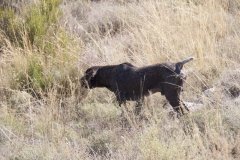 IMG_7933