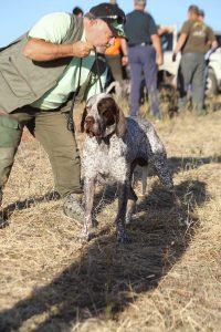 Doohan de Pedralvez de Andrés Páez